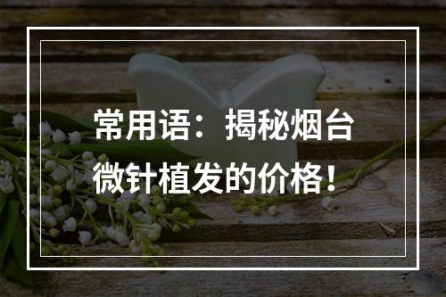 常用语：揭秘烟台微针植发的价格！