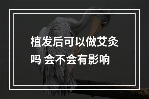 植发后可以做艾灸吗 会不会有影响