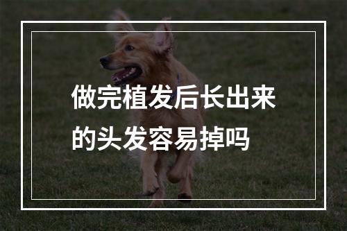 做完植发后长出来的头发容易掉吗