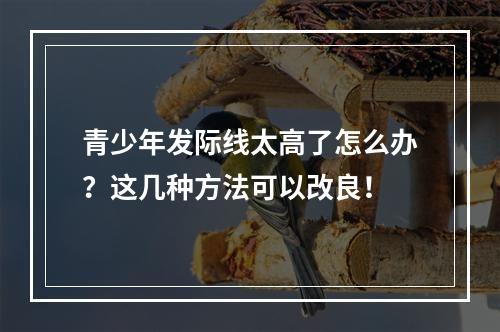 青少年发际线太高了怎么办？这几种方法可以改良！