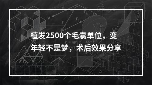 植发2500个毛囊单位，变年轻不是梦，术后效果分享