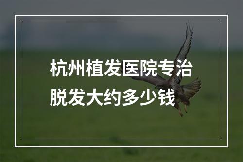 杭州植发医院专治脱发大约多少钱