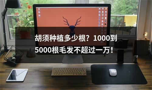 胡须种植多少根？1000到5000根毛发不超过一万！