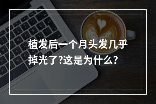 植发后一个月头发几乎掉光了?这是为什么？