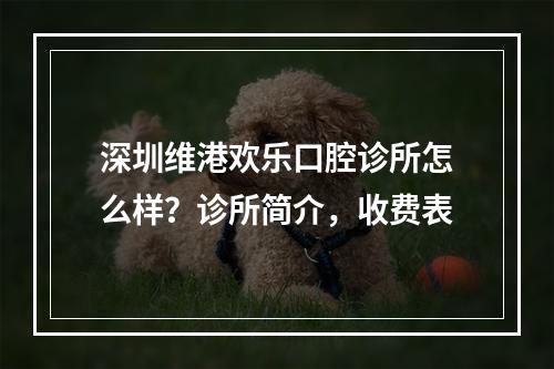 深圳维港欢乐口腔诊所怎么样？诊所简介，收费表