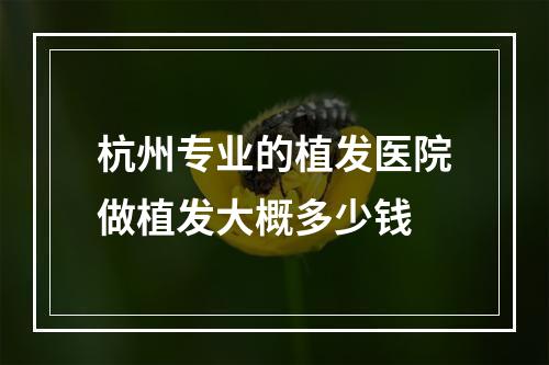 杭州专业的植发医院做植发大概多少钱