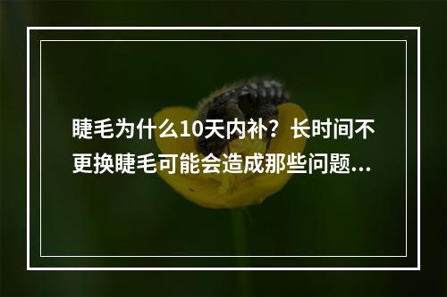 睫毛为什么10天内补？长时间不更换睫毛可能会造成那些问题？