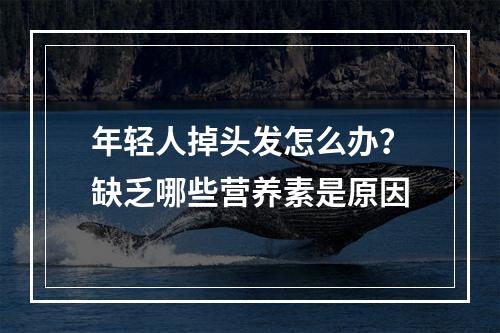 年轻人掉头发怎么办？缺乏哪些营养素是原因