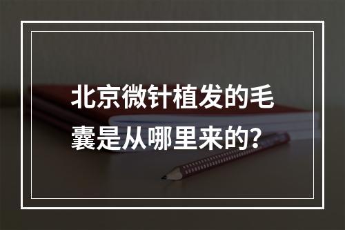 北京微针植发的毛囊是从哪里来的？