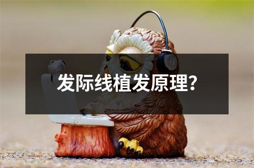 发际线植发原理？