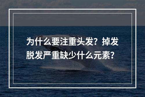 为什么要注重头发？掉发脱发严重缺少什么元素？