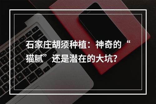 石家庄胡须种植：神奇的“猫腻”还是潜在的大坑？