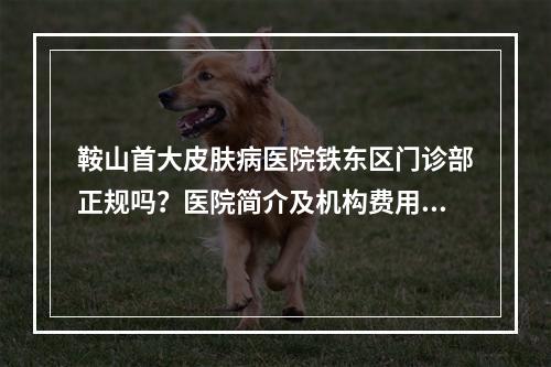 鞍山首大皮肤病医院铁东区门诊部正规吗？医院简介及机构费用明细公布！