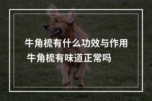 牛角梳有什么功效与作用 牛角梳有味道正常吗