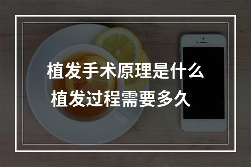 植发手术原理是什么 植发过程需要多久