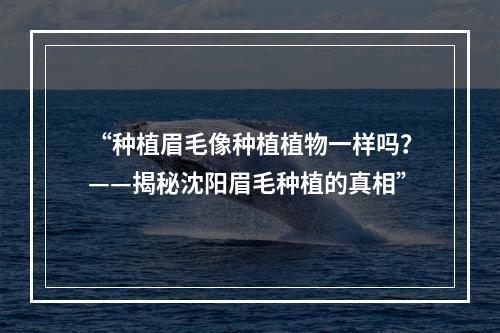 “种植眉毛像种植植物一样吗？——揭秘沈阳眉毛种植的真相”