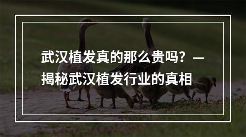 武汉植发真的那么贵吗？—揭秘武汉植发行业的真相