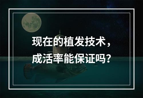 现在的植发技术，成活率能保证吗？