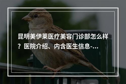 昆明美伊莱医疗美容门诊部怎么样？医院介绍、内含医生信息-附热门项目费用