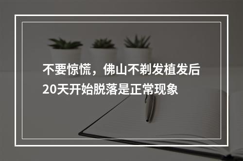 不要惊慌，佛山不剃发植发后20天开始脱落是正常现象