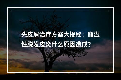 头皮屑治疗方案大揭秘：脂溢性脱发皮炎什么原因造成？