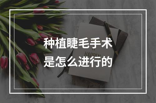 种植睫毛手术是怎么进行的