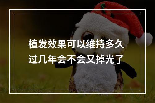 植发效果可以维持多久 过几年会不会又掉光了