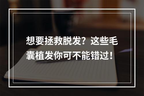 想要拯救脱发？这些毛囊植发你可不能错过！