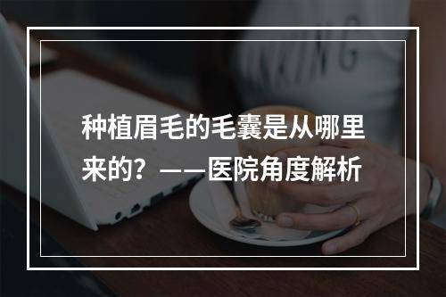 种植眉毛的毛囊是从哪里来的？——医院角度解析