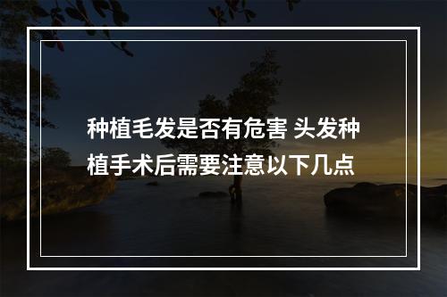 种植毛发是否有危害 头发种植手术后需要注意以下几点