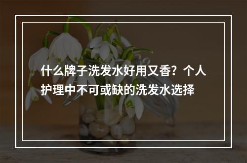 什么牌子洗发水好用又香？个人护理中不可或缺的洗发水选择