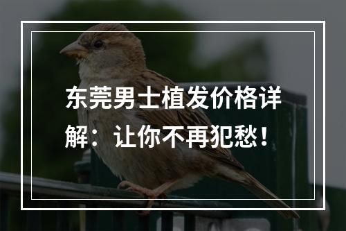 东莞男士植发价格详解：让你不再犯愁！