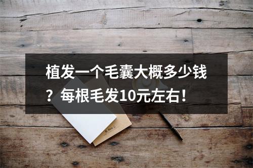 植发一个毛囊大概多少钱？每根毛发10元左右！