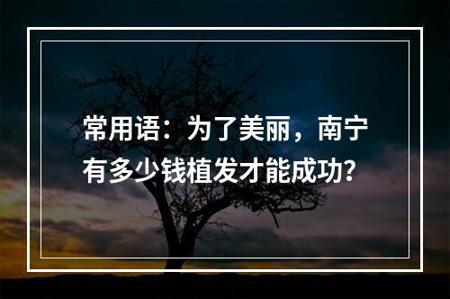 常用语：为了美丽，南宁有多少钱植发才能成功？