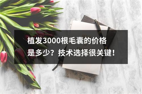 植发3000根毛囊的价格是多少？技术选择很关键！