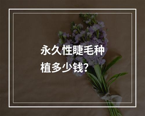 永久性睫毛种植多少钱？