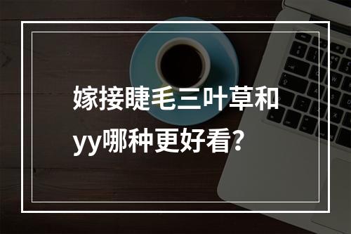 嫁接睫毛三叶草和yy哪种更好看？