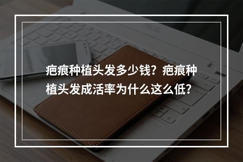 疤痕种植头发多少钱？疤痕种植头发成活率为什么这么低？