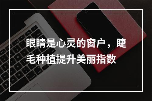 眼睛是心灵的窗户，睫毛种植提升美丽指数