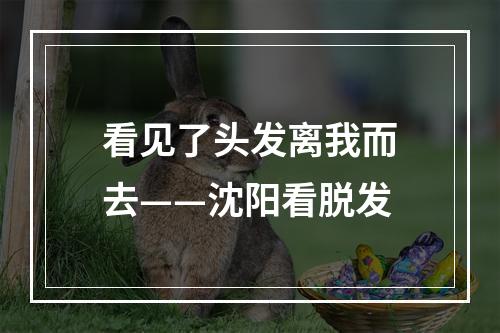 看见了头发离我而去——沈阳看脱发