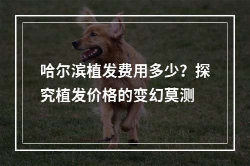 哈尔滨植发费用多少？探究植发价格的变幻莫测