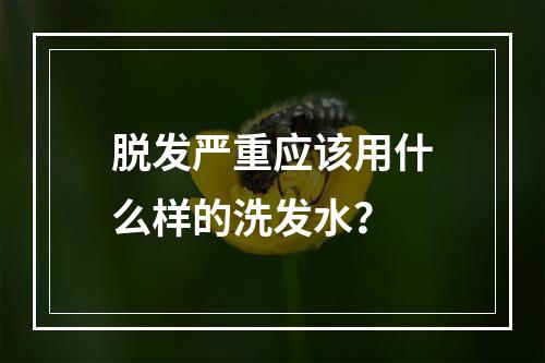 脱发严重应该用什么样的洗发水？