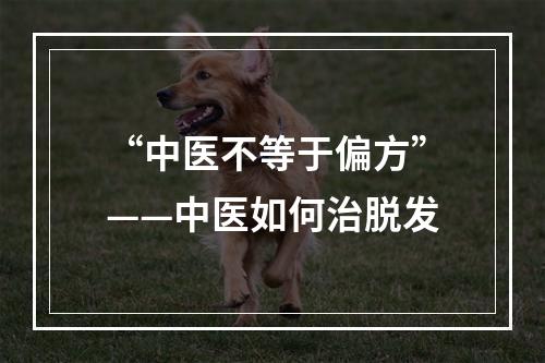 “中医不等于偏方”——中医如何治脱发