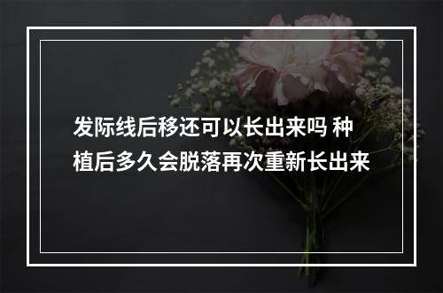 发际线后移还可以长出来吗 种植后多久会脱落再次重新长出来