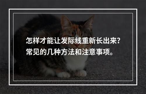 怎样才能让发际线重新长出来？常见的几种方法和注意事项。