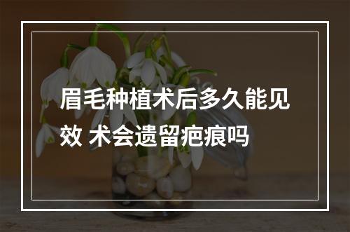 眉毛种植术后多久能见效 术会遗留疤痕吗