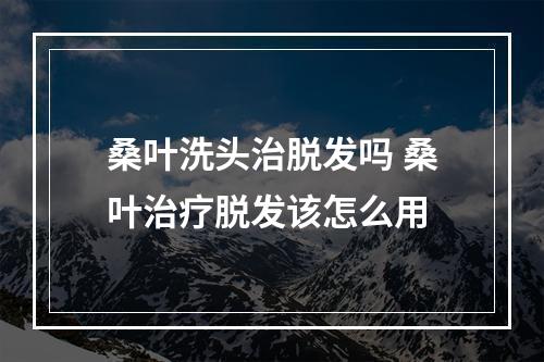 桑叶洗头治脱发吗 桑叶治疗脱发该怎么用