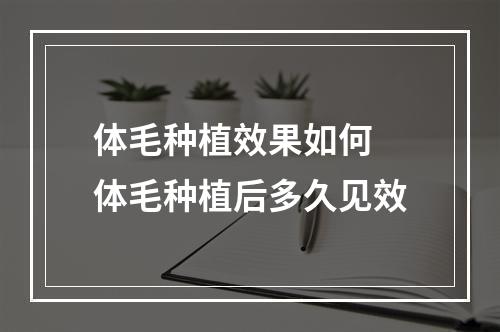 体毛种植效果如何 体毛种植后多久见效