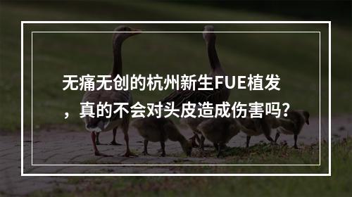 无痛无创的杭州新生FUE植发，真的不会对头皮造成伤害吗？