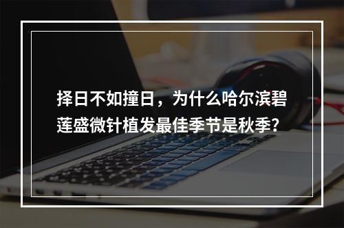 择日不如撞日，为什么哈尔滨碧莲盛微针植发最佳季节是秋季？